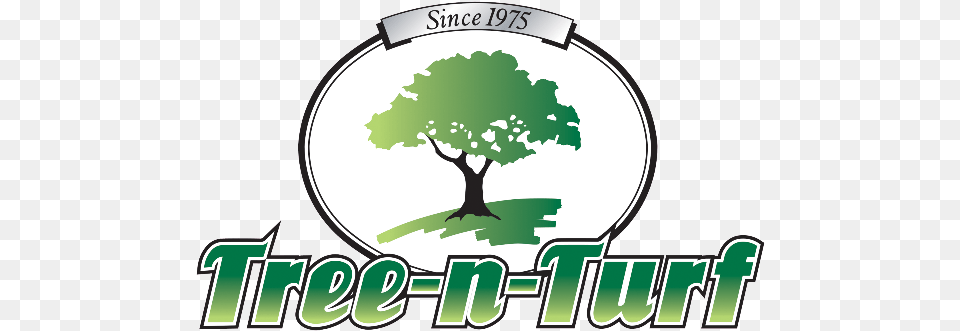 Shrub Clipart Tree Shade Tree N Turf Services, Green, Plant, Vegetation, Oak Free Png Download