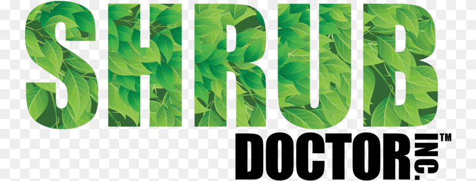 Shrub Doctor Logo Site Under Construction, Green, Herbal, Herbs, Leaf Free Png
