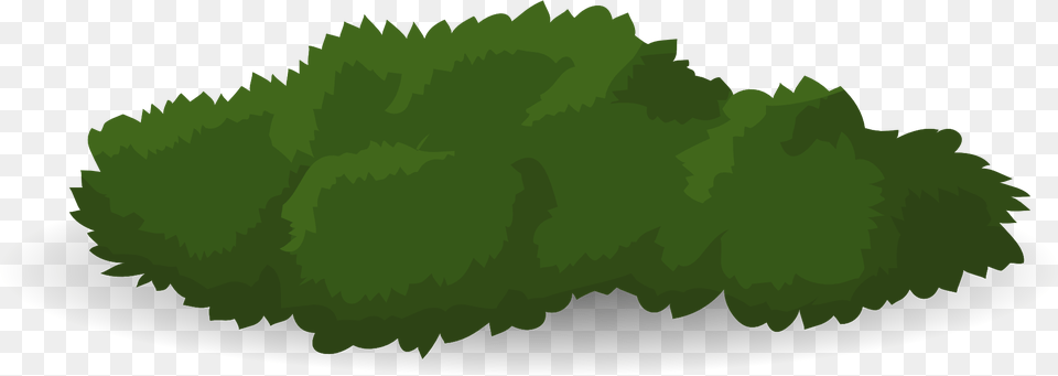 Shrub Drawing At Getdrawings Bushes Vector, Grass, Green, Moss, Plant Free Transparent Png