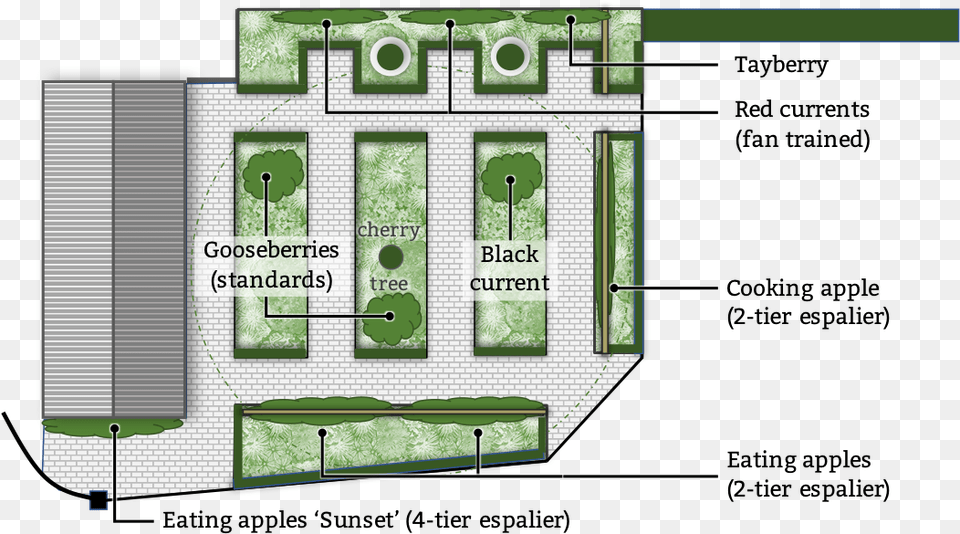 Shrub Layer Fruit Floor Plan, Chart, Diagram, Plot, Neighborhood Png Image