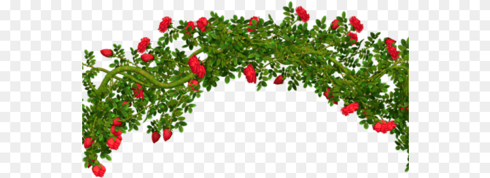 Shrub On Dumielauxepices Net Rosebush Rose Arch Clip Art, Plant, Flower, Pattern, Architecture Free Transparent Png