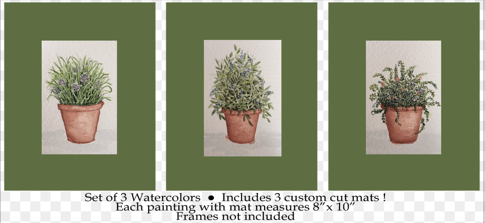 Shrub Plan, Plant, Potted Plant, Art, Collage Free Png