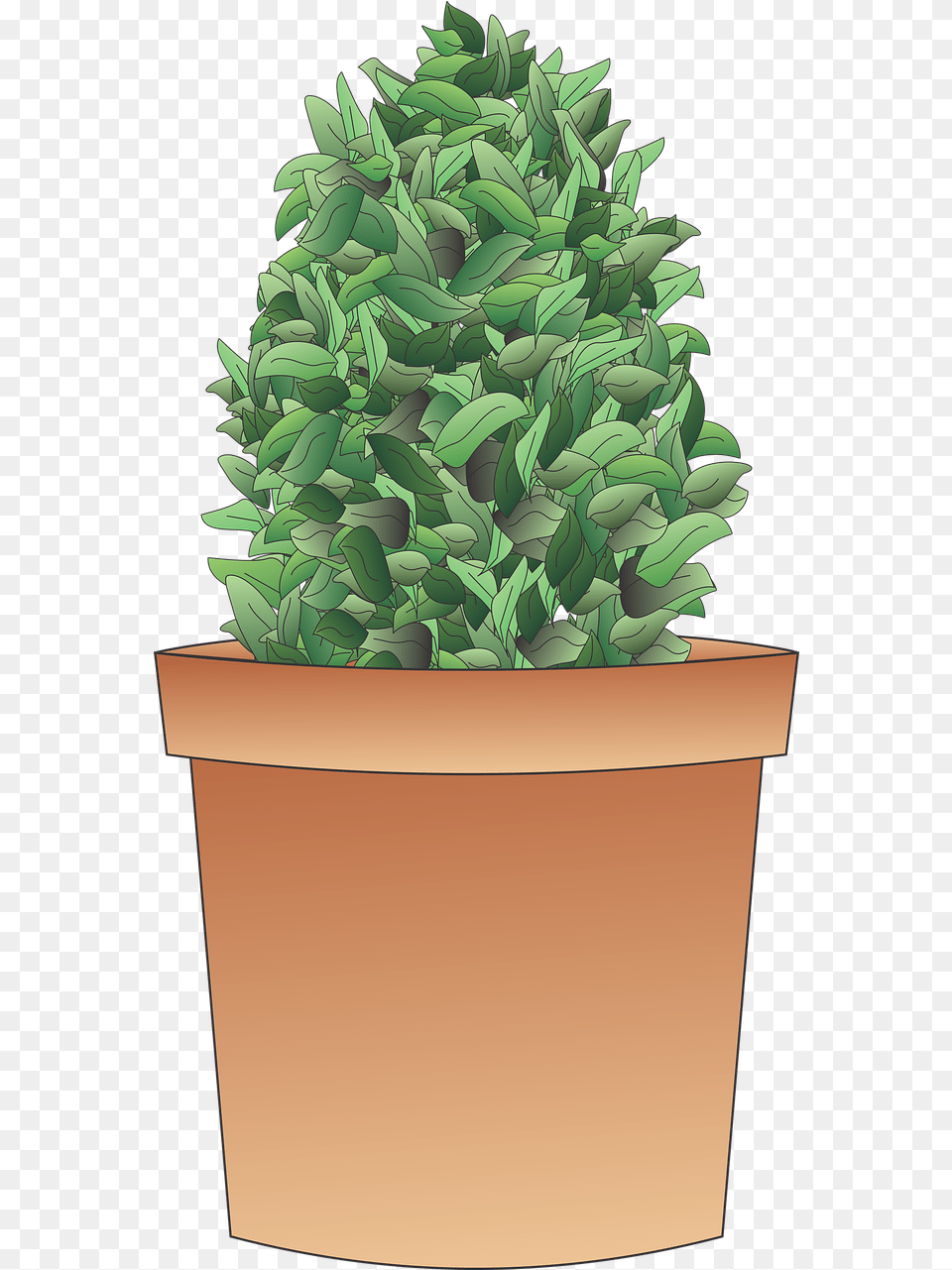 Shrub Plant Tree Vaso Com Arbusto, Vase, Jar, Planter, Pottery Free Transparent Png