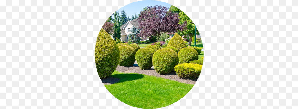 Shrub Trimming Landscape Architect, Lawn, Garden, Grass, Tree Free Png