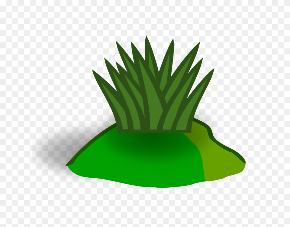 Shrubbery Tree Drawing Plants, Grass, Green, Potted Plant, Plant Png Image