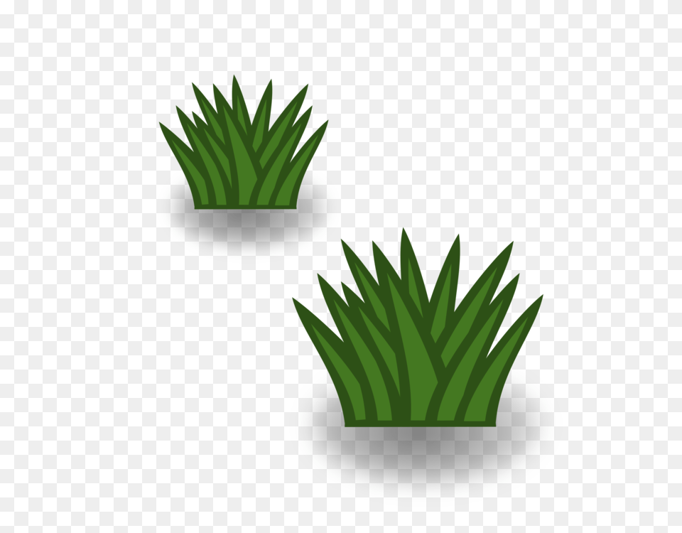 Shrubbery Tree Drawing Plants, Grass, Green, Plant, Potted Plant Free Png