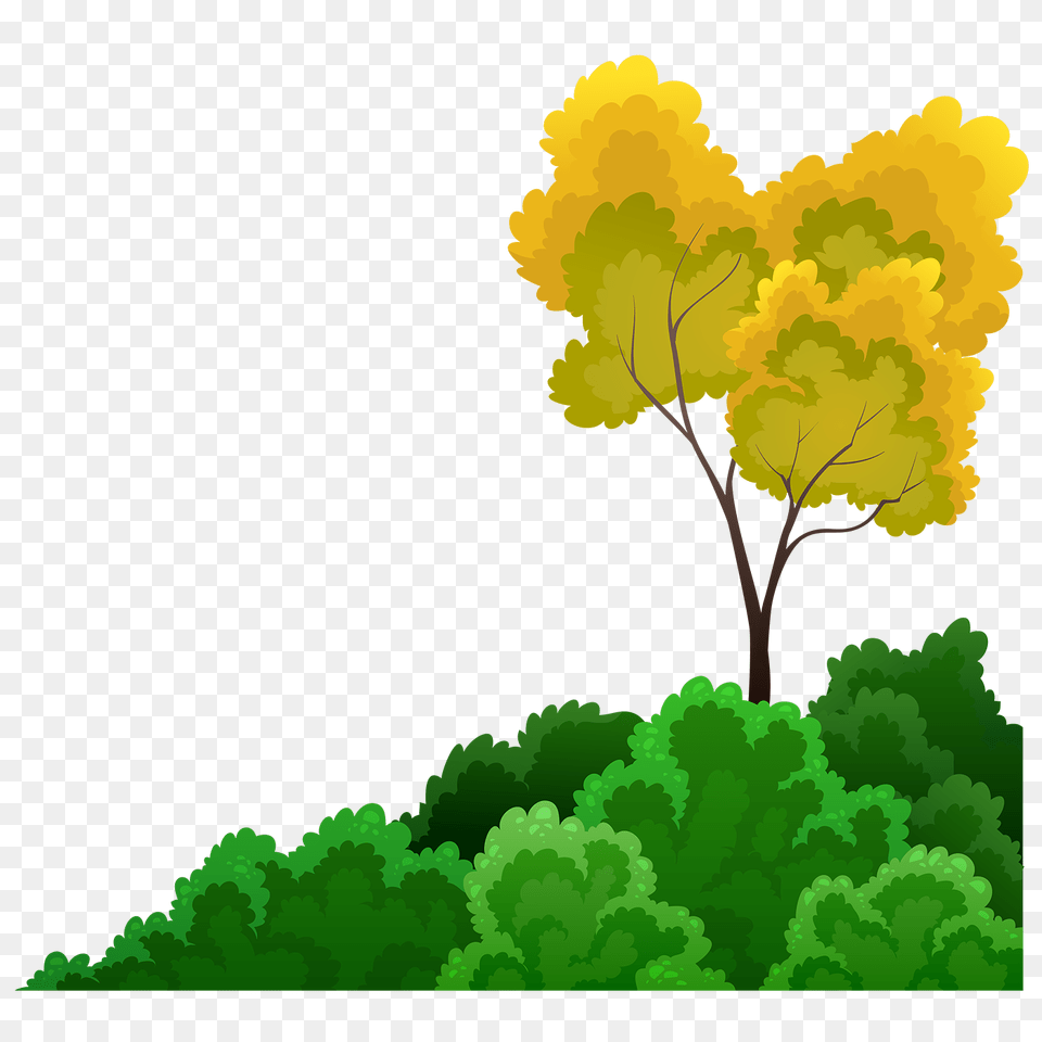 Shrubs And Tree Download Vectors Clipart Graphics Arboles Rey Leon, Green, Plant, Vegetation, Land Free Transparent Png