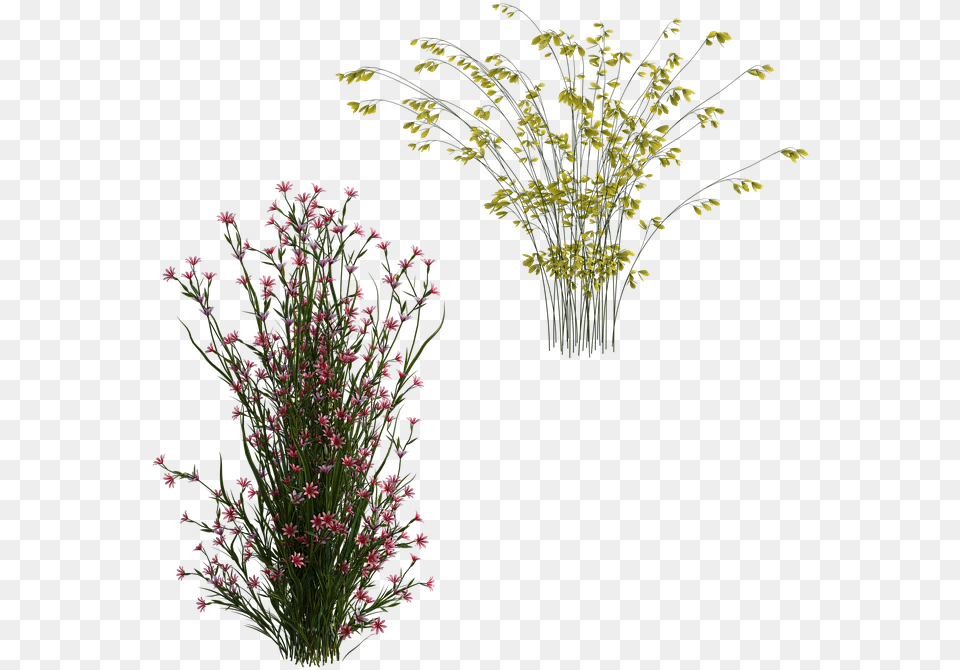 Shrubs Pretty Flowers Image On Pixabay Bouquet, Flower, Flower Arrangement, Flower Bouquet, Plant Free Transparent Png