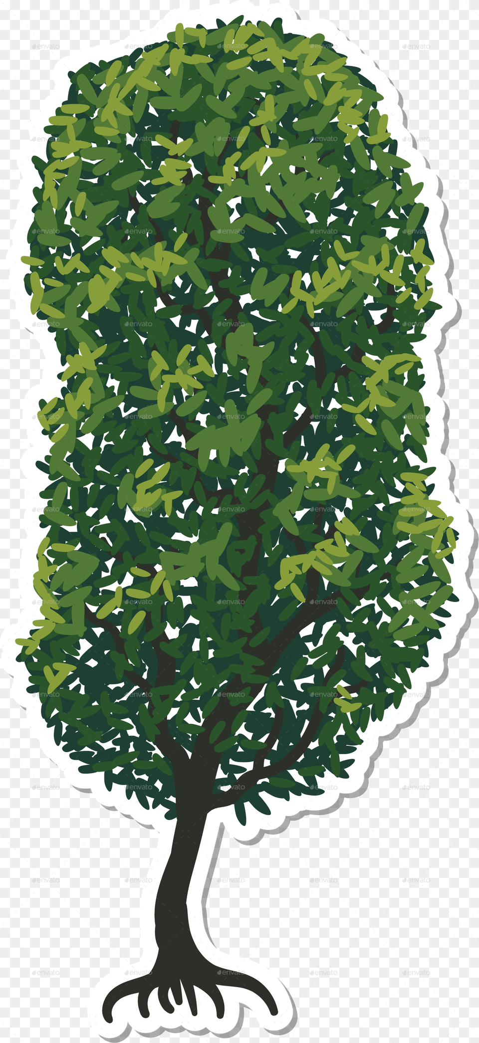 Shrubs Top View, Plant, Tree, Vegetation, Oak Free Transparent Png