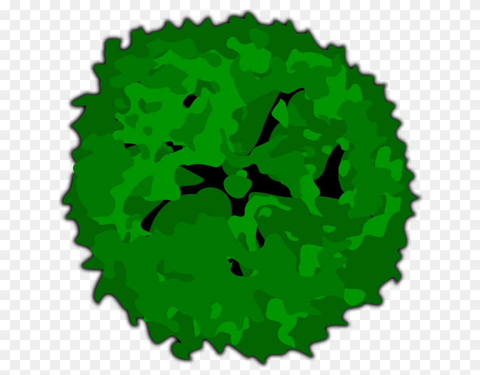 Shrubs Trees Computer Icons, Carnation, Flower, Green, Plant Free Png