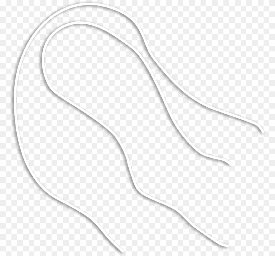 Shsc Snare Cord Wire, Silhouette, Animal, Fish, Sea Life Free Png