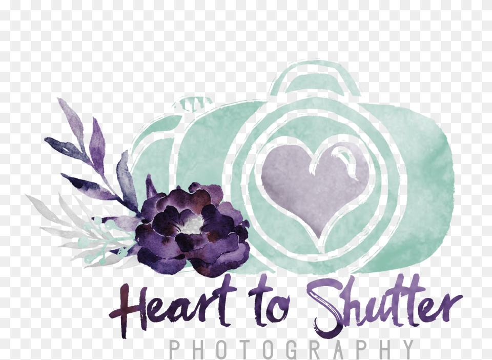 Shutter, Art, Graphics, Purple, Flower Free Png