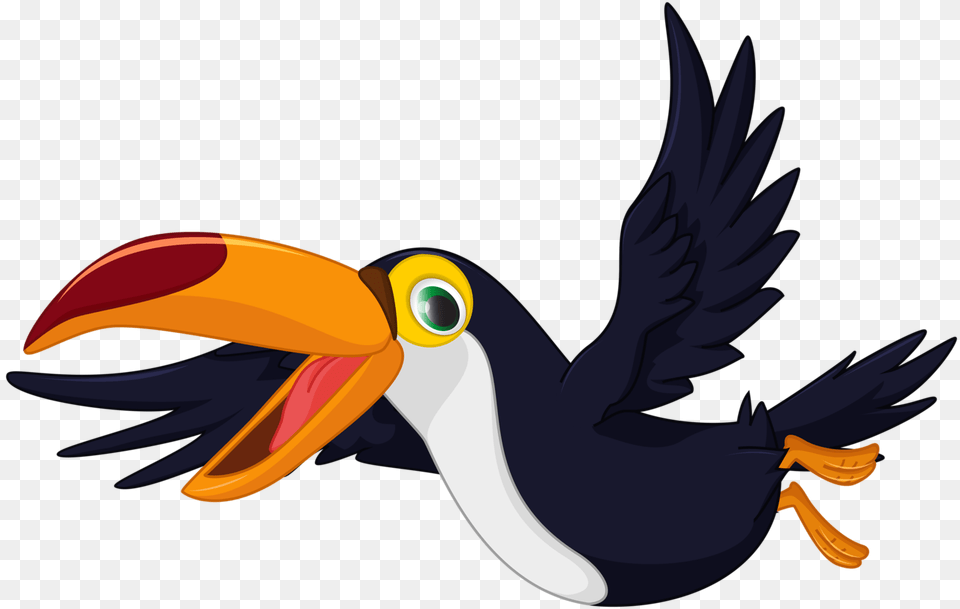 Shutterstock, Animal, Beak, Bird, Toucan Free Png