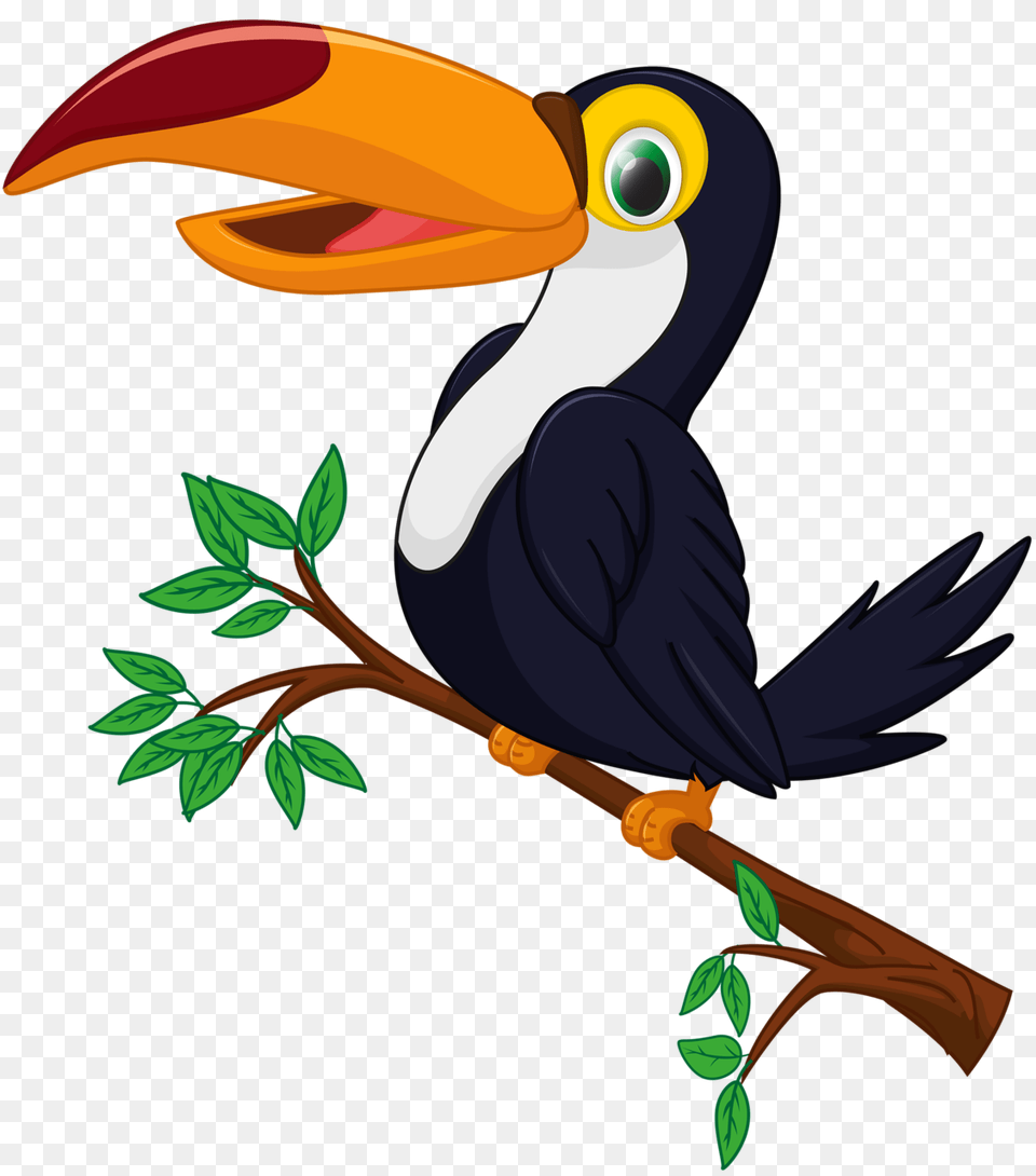 Shutterstock, Animal, Beak, Bird, Toucan Png Image