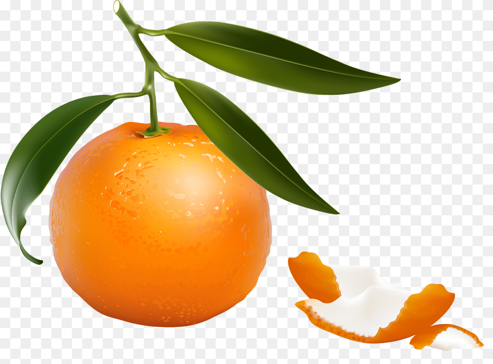 Shutterstock Fruit And Vegetables Clip Art Two, Citrus Fruit, Food, Orange, Plant Png
