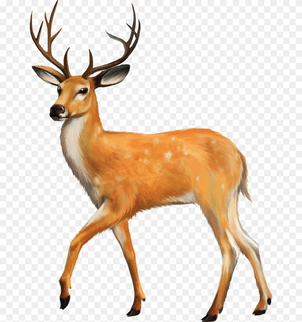 Shutterstock Printables For Kids Clip Art, Animal, Antelope, Deer, Mammal Free Png