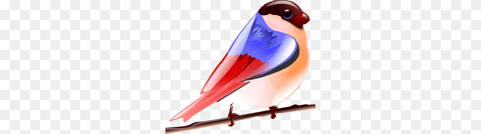 Shuttle Clip Art Animal, Bird, Finch, Beak Free Png Download