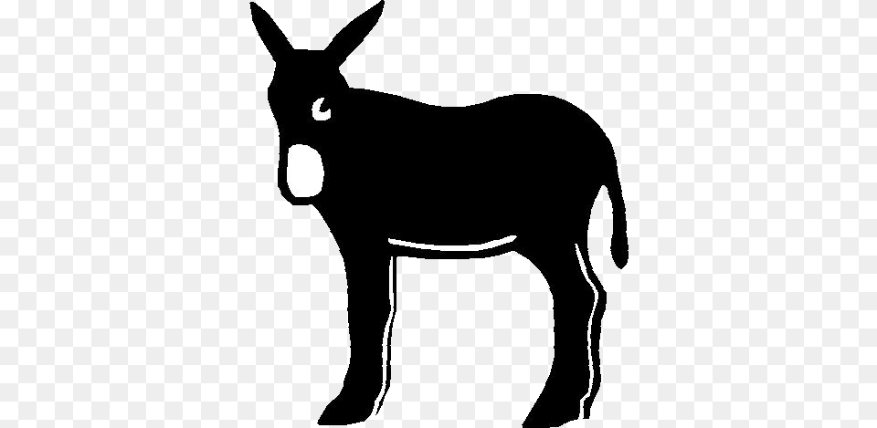 Si Por Un Casual Surge Algn Otro Problema Que No Pueda Catalan, Animal, Donkey, Kangaroo, Mammal Free Transparent Png