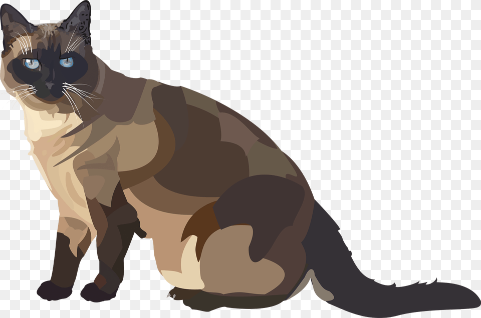 Siam Clipart, Animal, Cat, Mammal, Pet Free Transparent Png