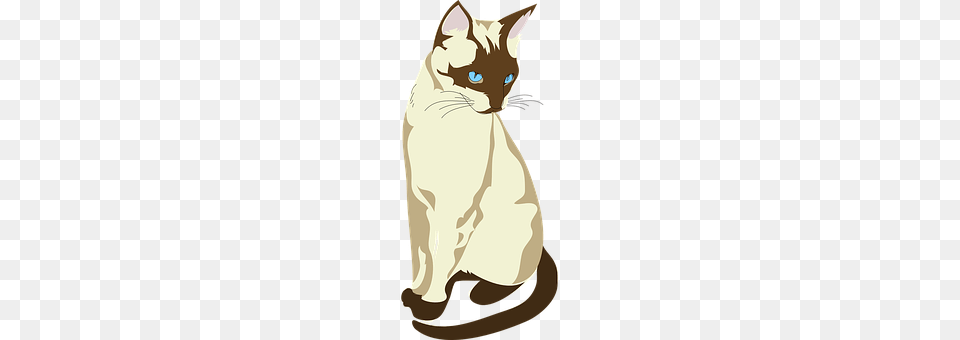 Siamese Cat Animal, Mammal, Pet, Person Free Transparent Png