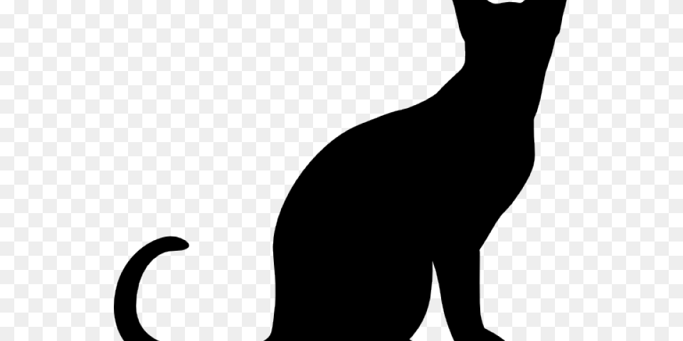 Siamese Cat Clipart Clip Art, Animal, Mammal, Pet, Silhouette Png