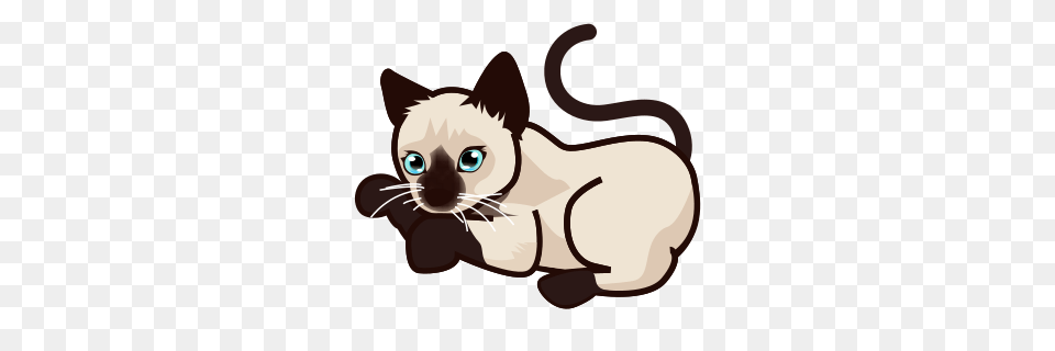 Siamese Cat Clipart Clip Art, Animal, Mammal, Pet Png