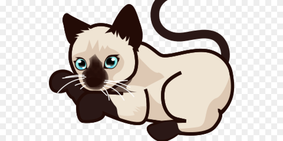 Siamese Cat Clipart Clip Art, Animal, Mammal, Pet, Baby Free Transparent Png