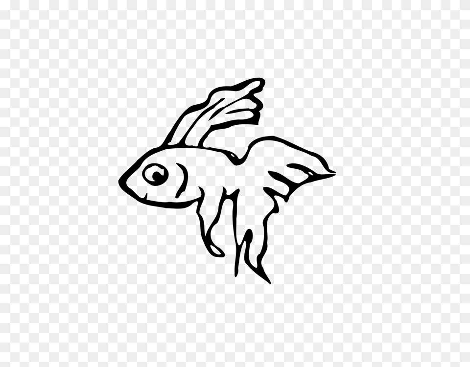 Siamese Fighting Fish Drawing Computer Icons Betta Channoides Gray Free Png Download