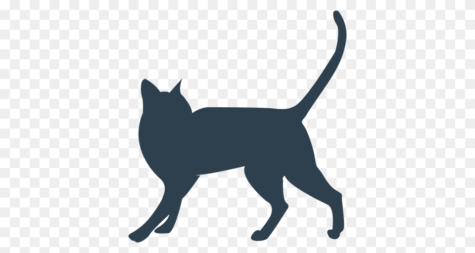 Siamesse Cat Walking Silhouette, Animal, Mammal, Pet, Canine Free Png Download