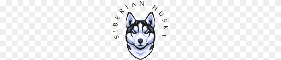 Siberian Husky, Animal, Canine, Dog, Mammal Png