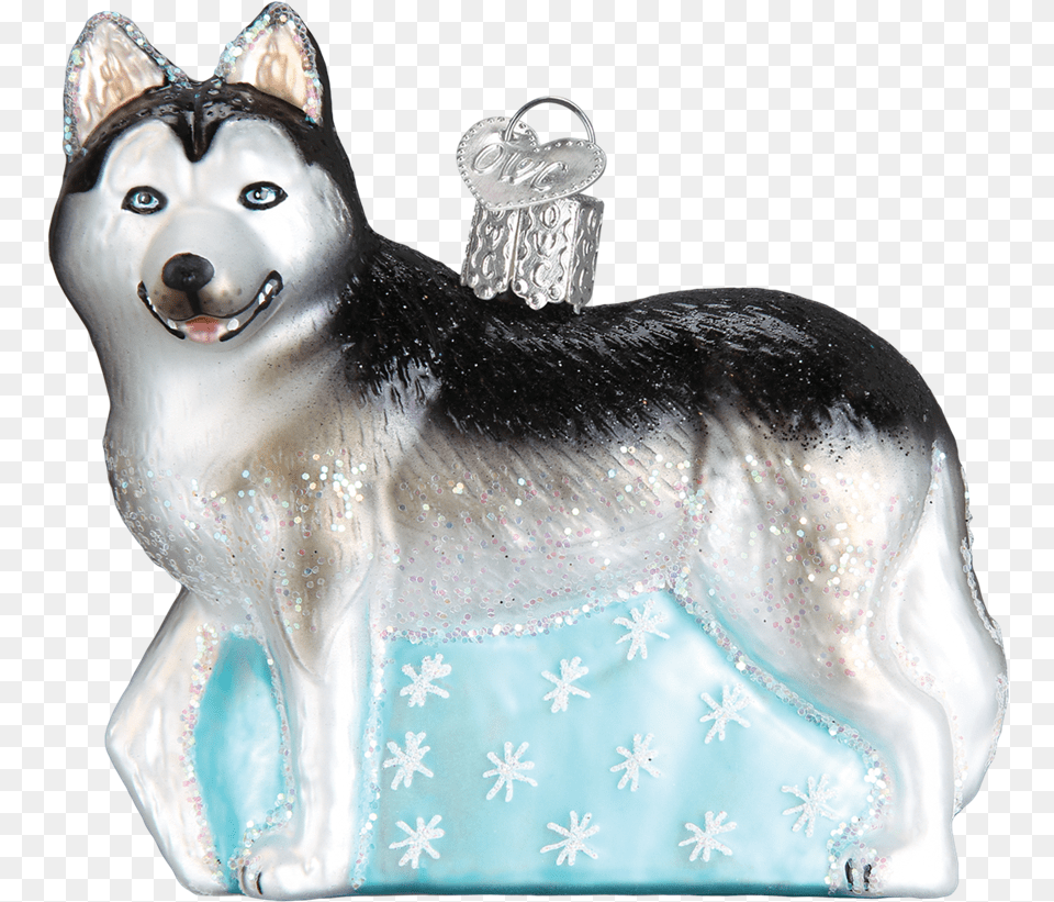 Siberian Husky, Animal, Canine, Dog, Mammal Png