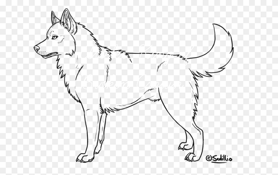 Siberian Husky Outline Drawing Siberian Husky Color Sheets, Silhouette, Text, Person Free Png