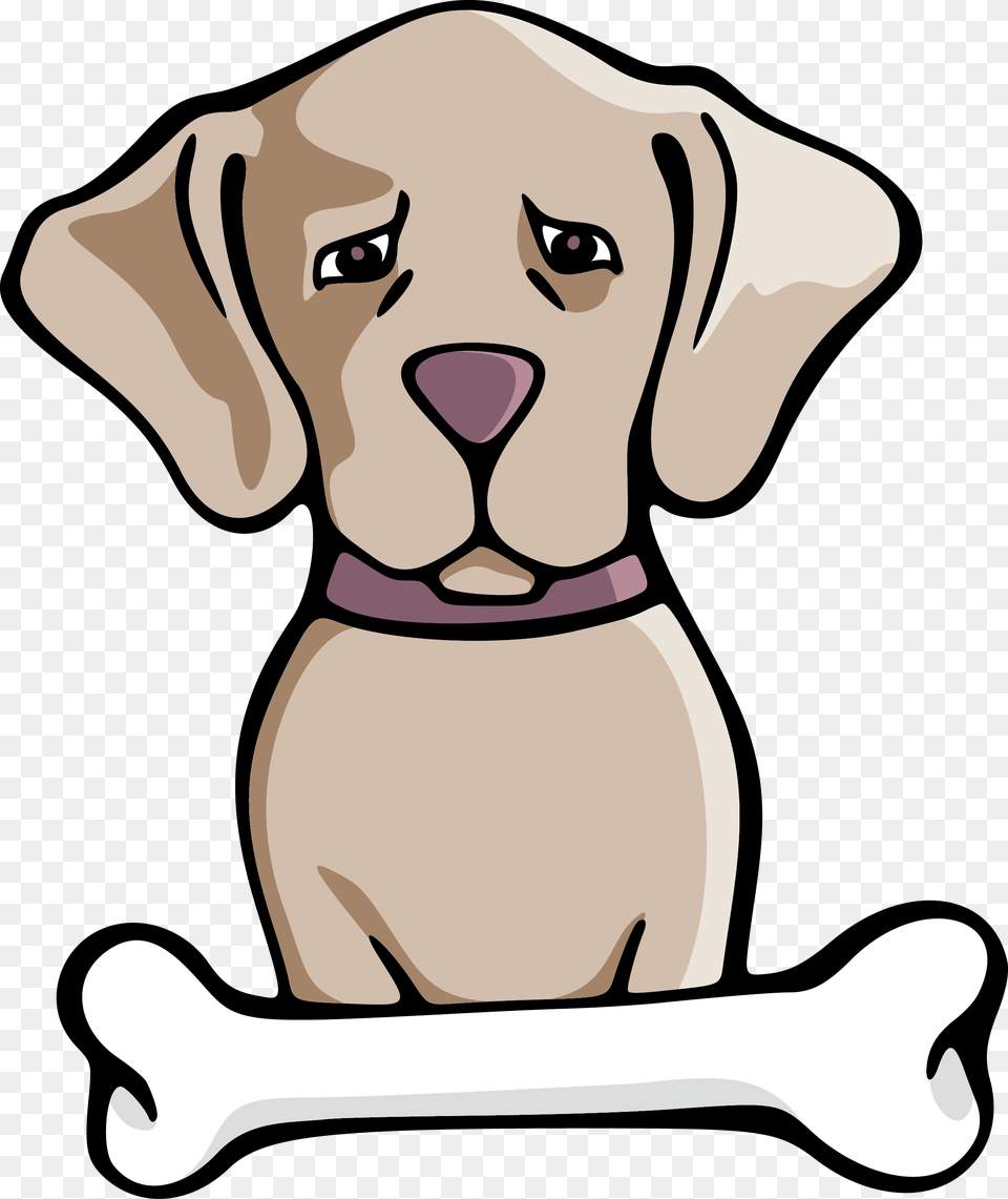 Siberian Husky Puppy Pet Illustration, Animal, Mammal, Dog, Canine Free Transparent Png