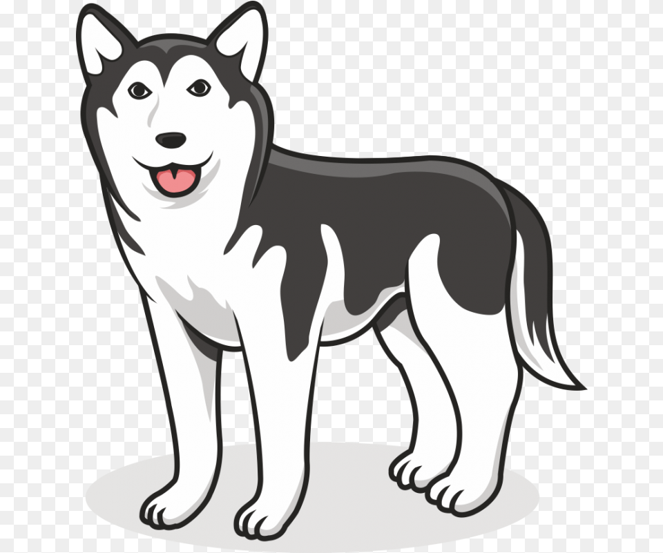 Siberian Husky Vector, Animal, Canine, Dog, Mammal Png Image