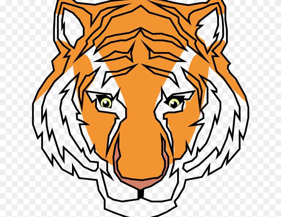 Siberian Tiger, Baby, Person, Face, Head Free Png Download