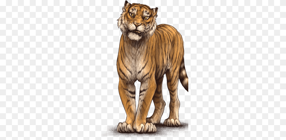 Siberian Tiger, Animal, Mammal, Wildlife Png Image