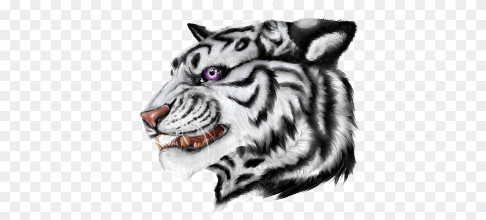 Siberian Tiger, Animal, Mammal, Wildlife, Art Png