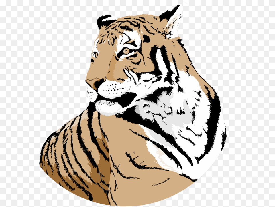 Siberian Tiger, Animal, Mammal, Wildlife Free Transparent Png