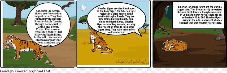 Siberian Tigers Siberian Tiger, Book, Comics, Publication, Animal Free Png Download