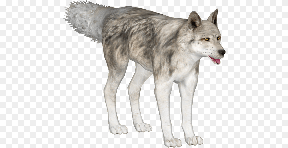 Siberian Tundra Wolf Zoo Tycoon 2 Tundra Wolf, Animal, Canine, Dog, Mammal Free Png Download