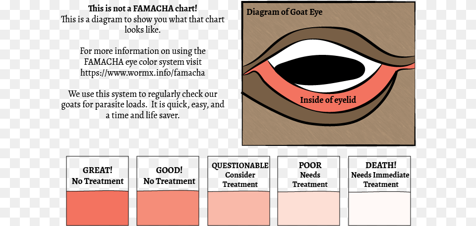 Sick Goat Worms Goat Famacha Chart, Body Part, Mouth, Person, Book Free Transparent Png
