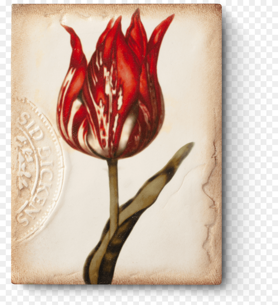 Sid Dickens, Flower, Plant, Art, Painting Png Image