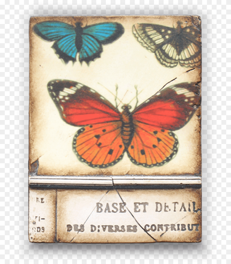 Sid Dickens Butterfly Tile, Animal, Insect, Invertebrate, Art Png