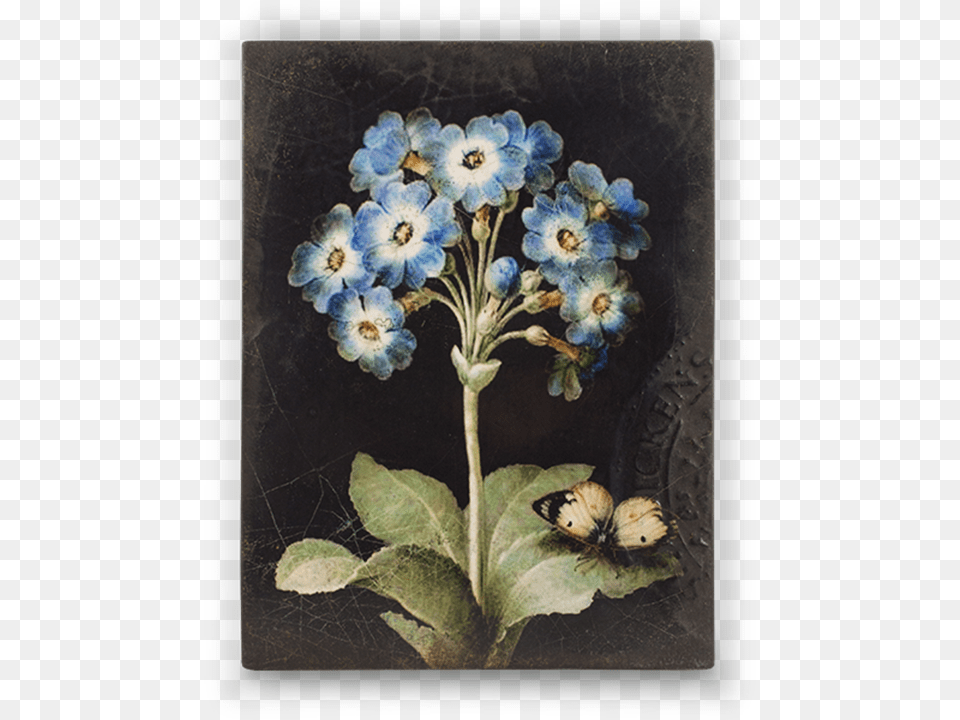 Sid Dickens Originals Handmade Memory Blocks Primrose Sid Dickens, Anemone, Art, Flower, Geranium Png