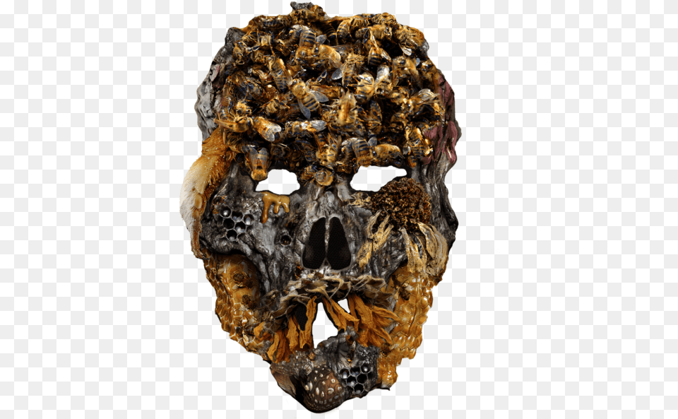 Sid Lee Real Scary, Animal, Apidae, Bee, Insect Free Transparent Png