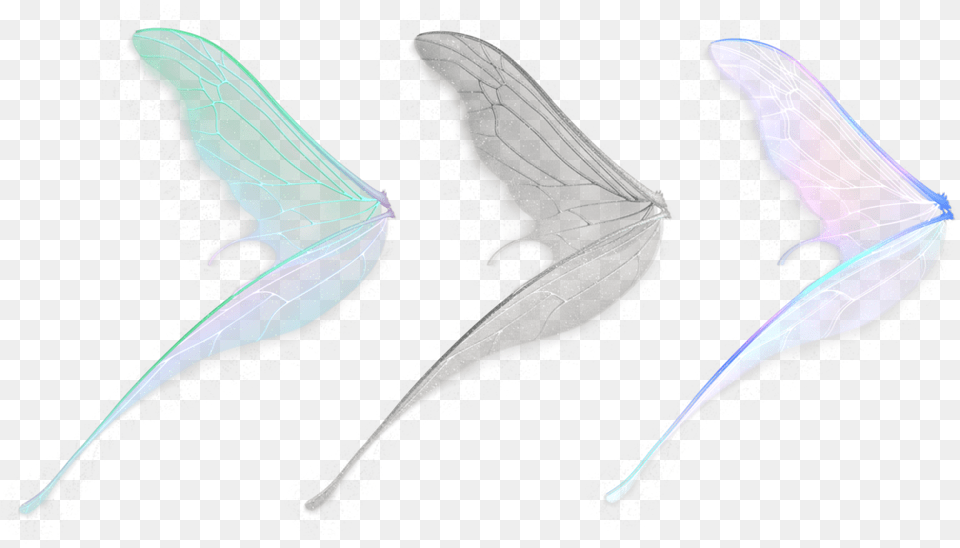 Side Fairy Wings, Accessories, Animal, Sea Life Free Transparent Png