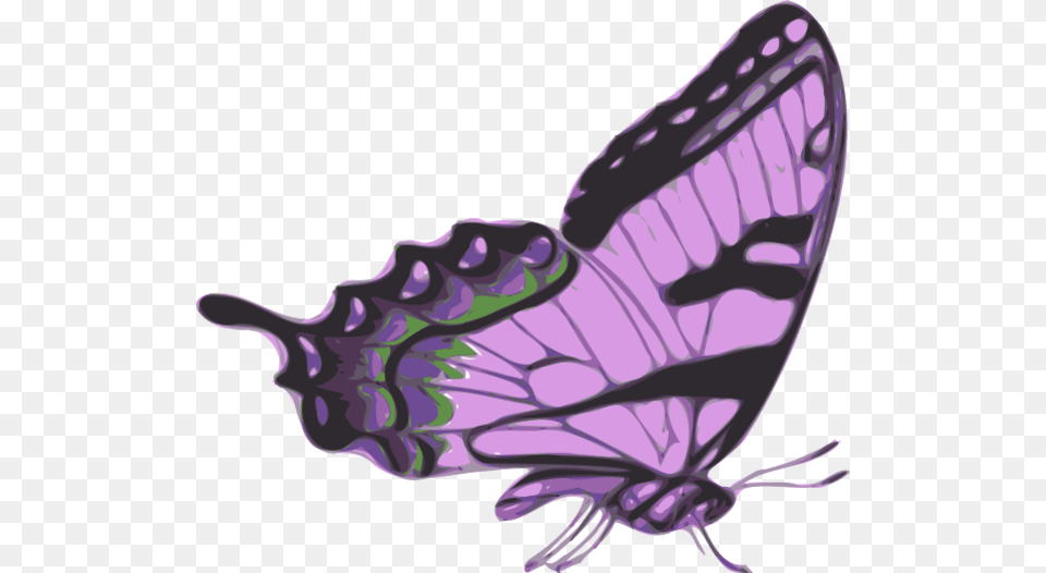 Side Of Butterfly Clipart Side View Monarch Butterfly, Purple, Animal, Insect, Invertebrate Png