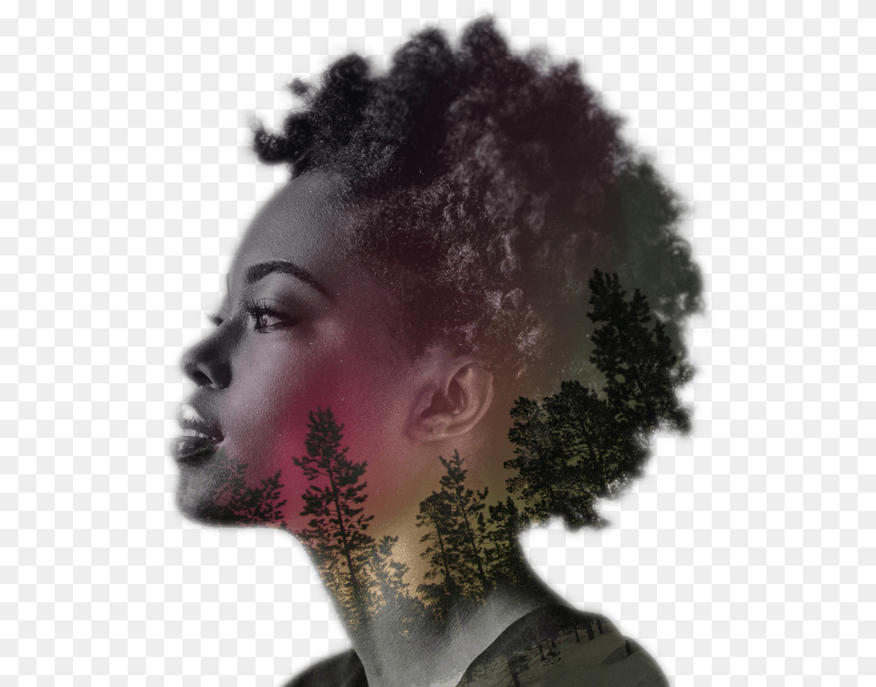 Side Profile Of Black Woman Face, Tree, Person, Head, Fir Png