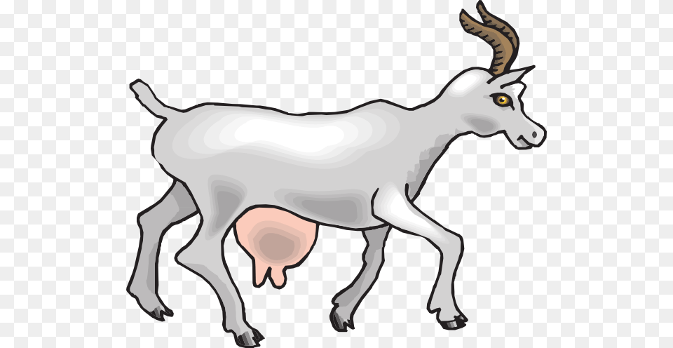 Side View Goat Clip Art At Clker Transparent Clipart Milk Goat, Livestock, Animal, Mammal, Kangaroo Free Png Download