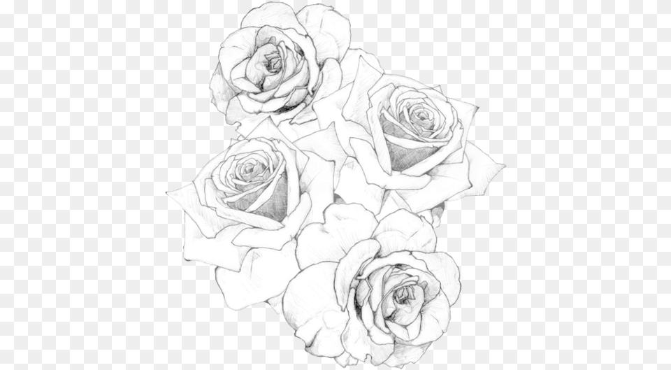 Sidebar Graphics Amp Rose Tattoo Stencil For Men, Art, Drawing, Flower, Plant Free Transparent Png